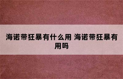 海诺带狂暴有什么用 海诺带狂暴有用吗